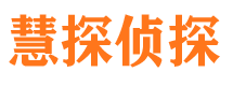 安岳私家侦探公司